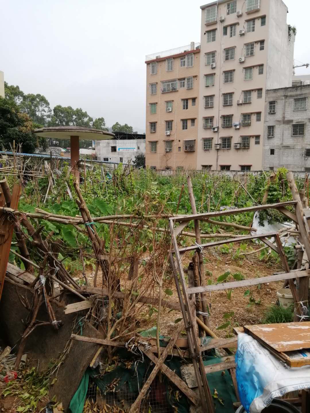 微信图片_20200520111425.jpg
