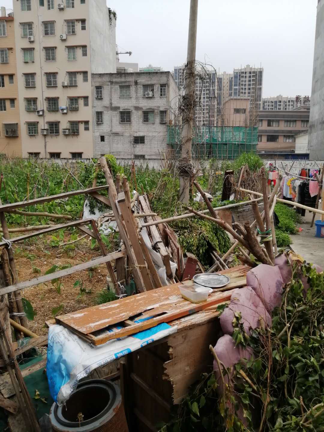 微信图片_20200520111431.jpg