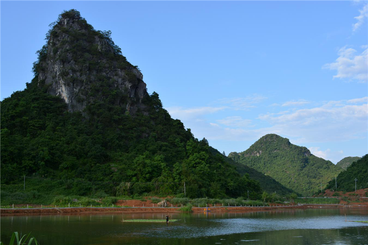天鹅潭休闲养生基地一景。（通讯员供图）.png