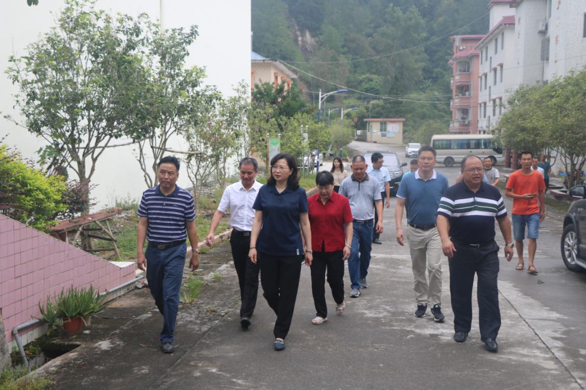 县委书记邓菲到秤架瑶族乡调研指导工作-阳山县政府门户网站