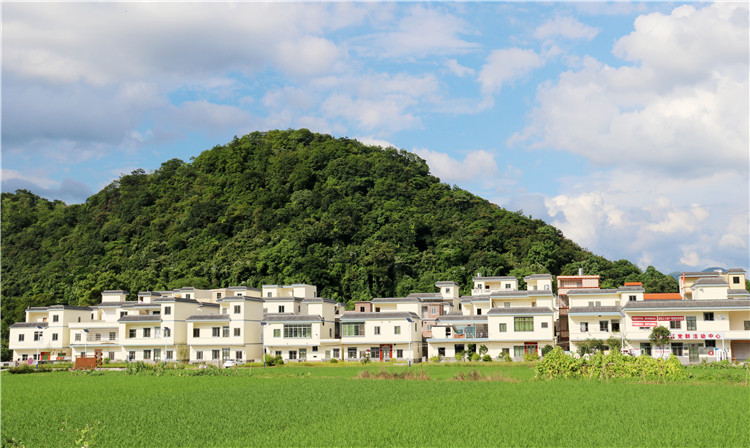 沙园村全村面貌焕然一新。（清远日报特约通讯员张丽思 摄）.jpg