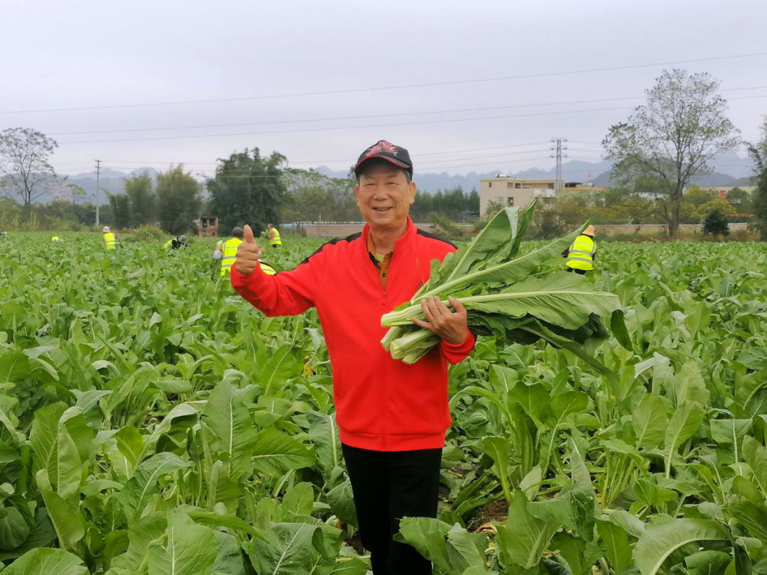 微信图片_20201201162541.png
