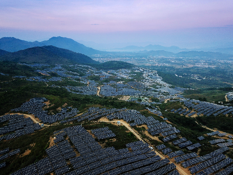 阳山太平50MW农业光伏电站。通讯员供图.jpg