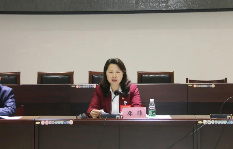 两会聚焦 县委书记邓菲参加综合审议组分组讨论:充分发挥比较优势