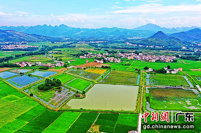 清远阳山：让党建“红”生态“绿”成为乡村振兴最美底色-阳山县政府门户网站