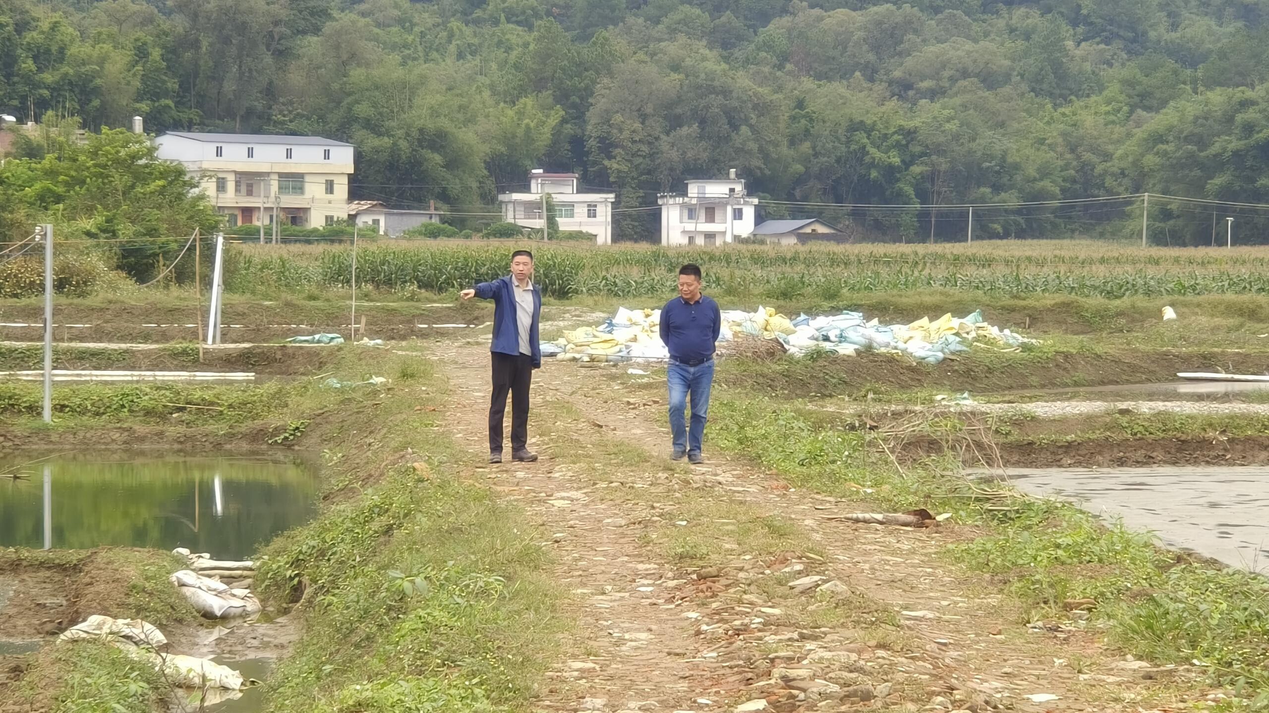 农支地保是什么补贴