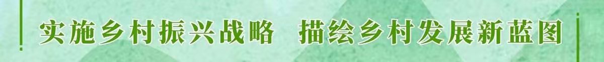 2021年网民网络安全满意度调查