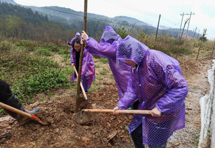 县政数局开展“三八”国际妇女节植树活动图片1.jpg
