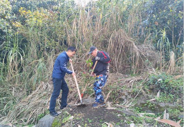 发挥银发力量 助力植树护绿图片.jpg