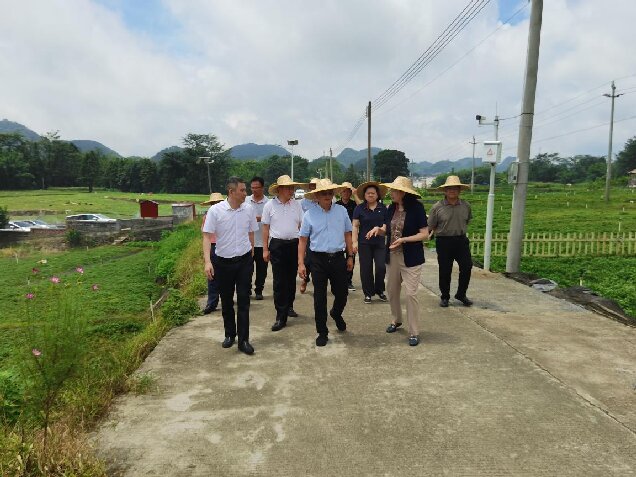 调研现场.jpg