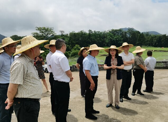 调研现场1.jpg
