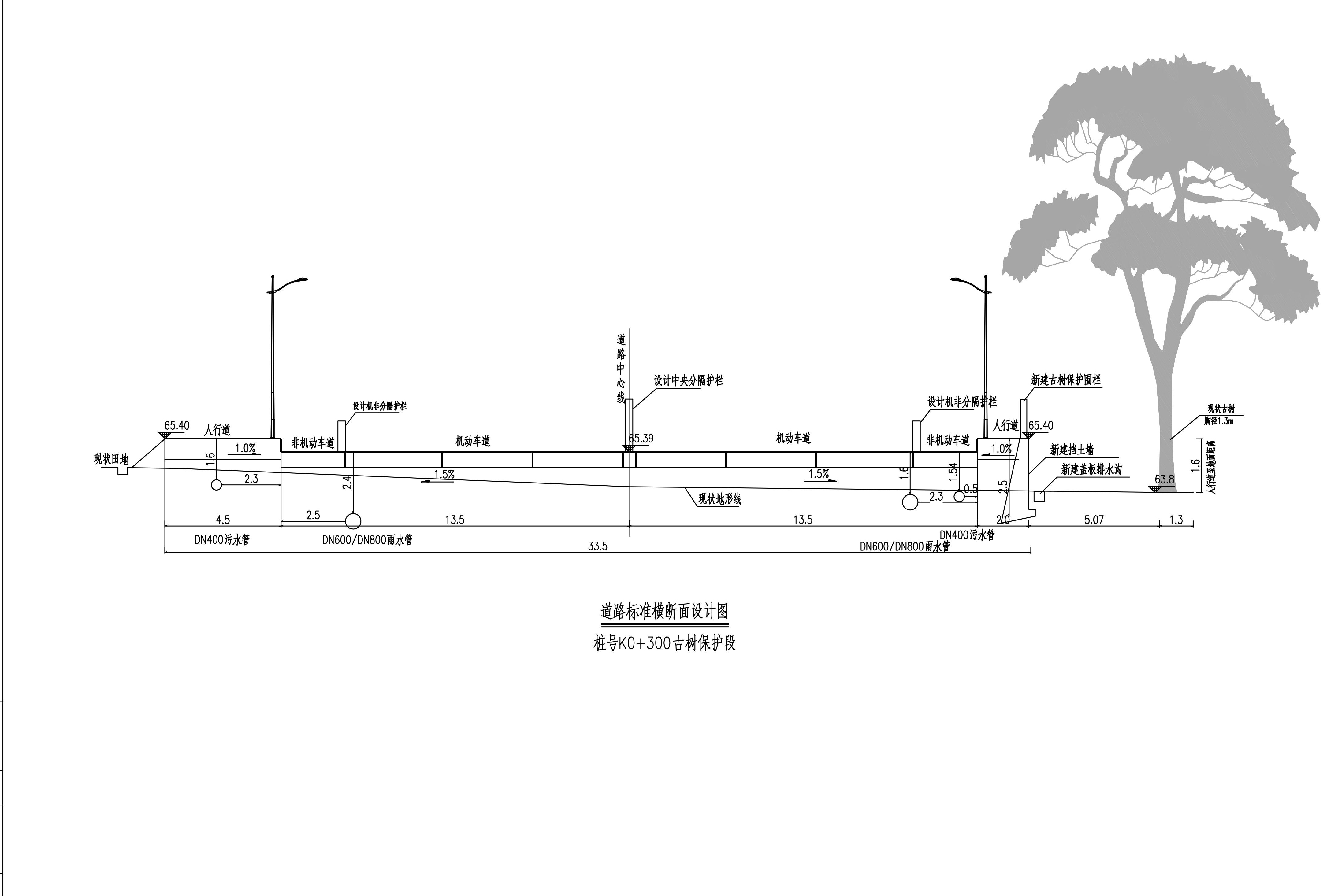 (初设)20240911阳山县城思贤路文化旅游基础设施建设工程(2)(2)_33.jpg