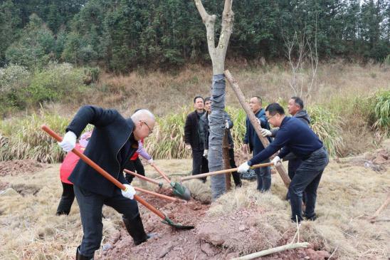 县政务和数据局到杨梅镇开展乡村绿化主题植树活动.jpg