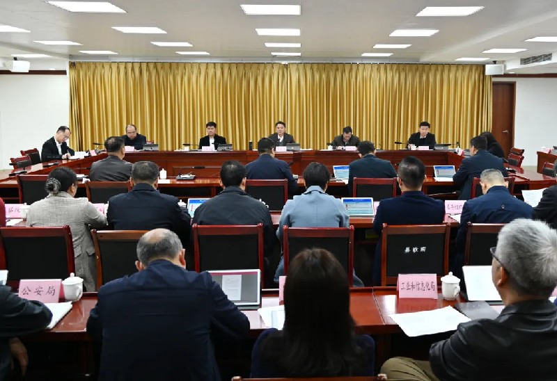 罗振宇主持召开县委审计委员会会议：以高质量审计监督保障阳山高质量发展