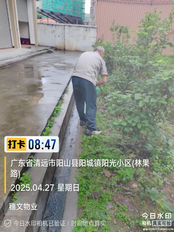 已编辑图片
