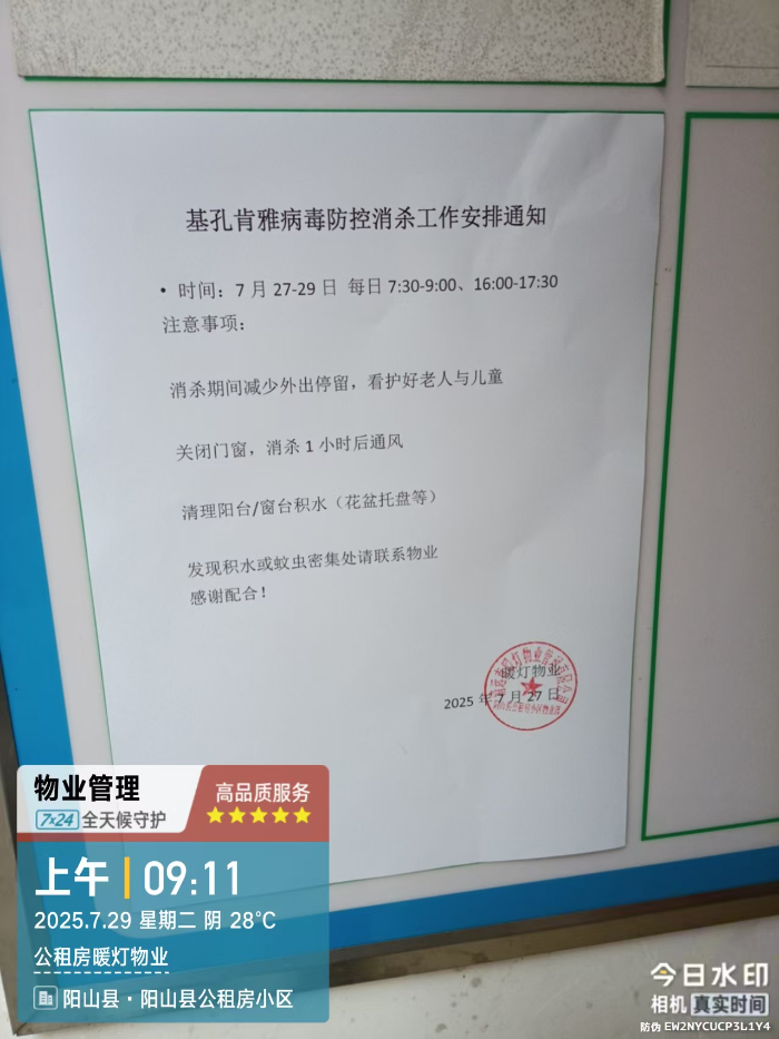灭蚊 (2).jpg