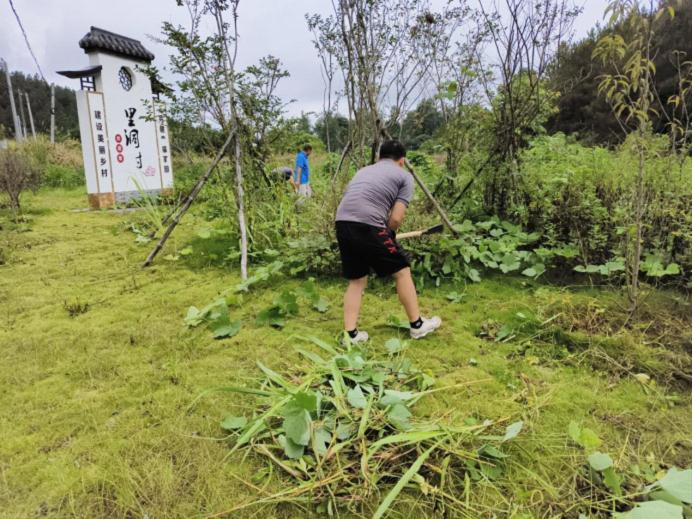 阳山县政务服务和数据管理局党支部到杨梅镇里洞村开展人居环境清洁活动图片.jpg