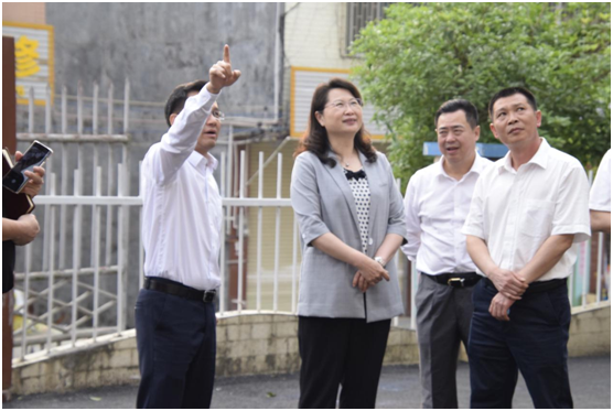 县委书记邓菲一行到大崀镇调研指导工作