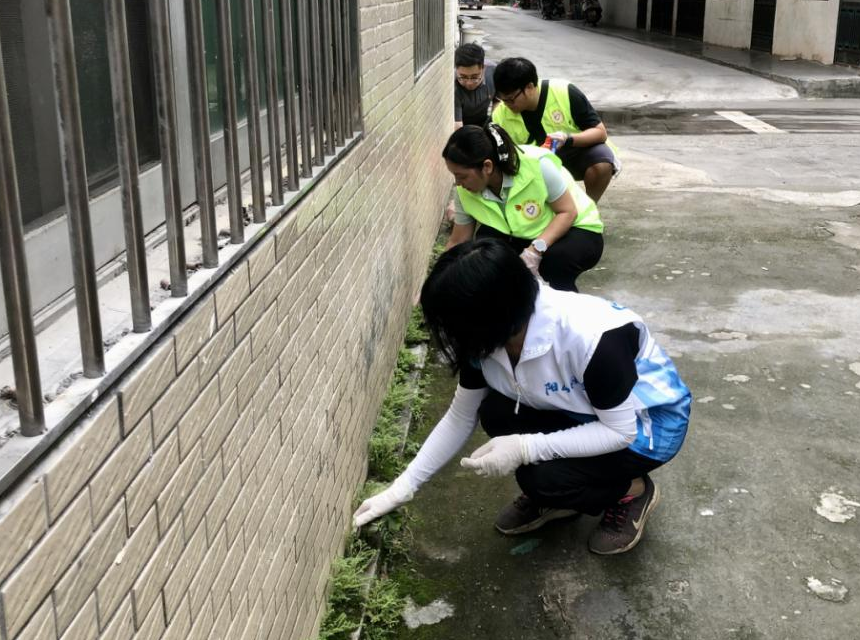 党员清理社区周边杂草.png