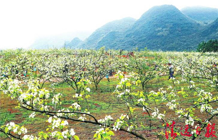广东阳山县黎埠镇人口_广东阳山县属于什么市(3)